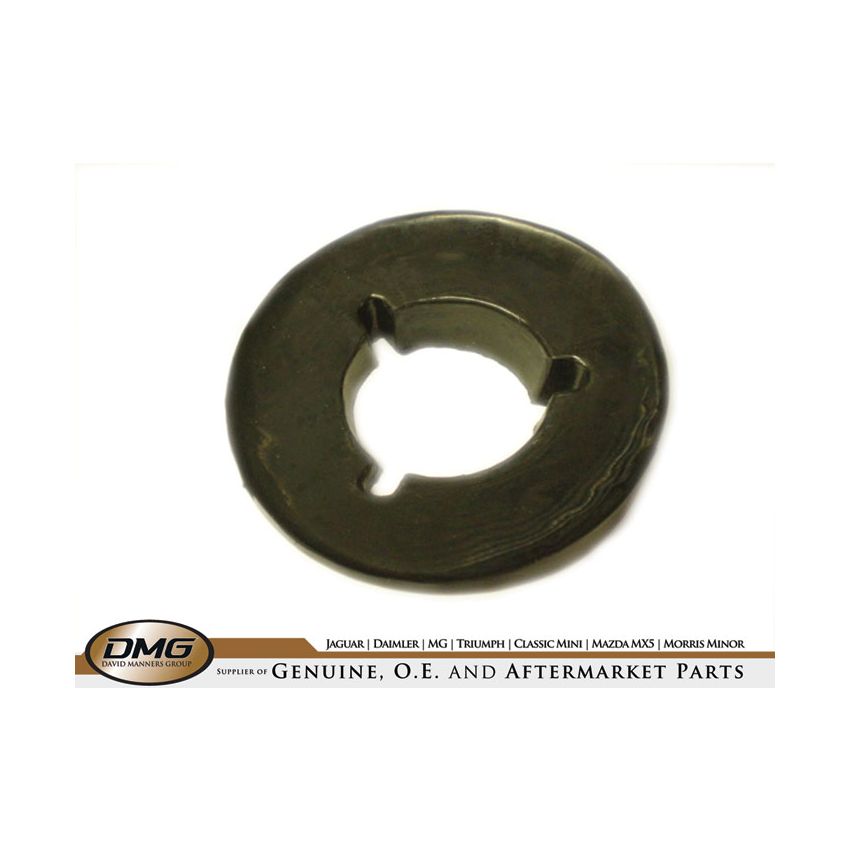 LH REVERSE LAMP PLINTH:  TR250