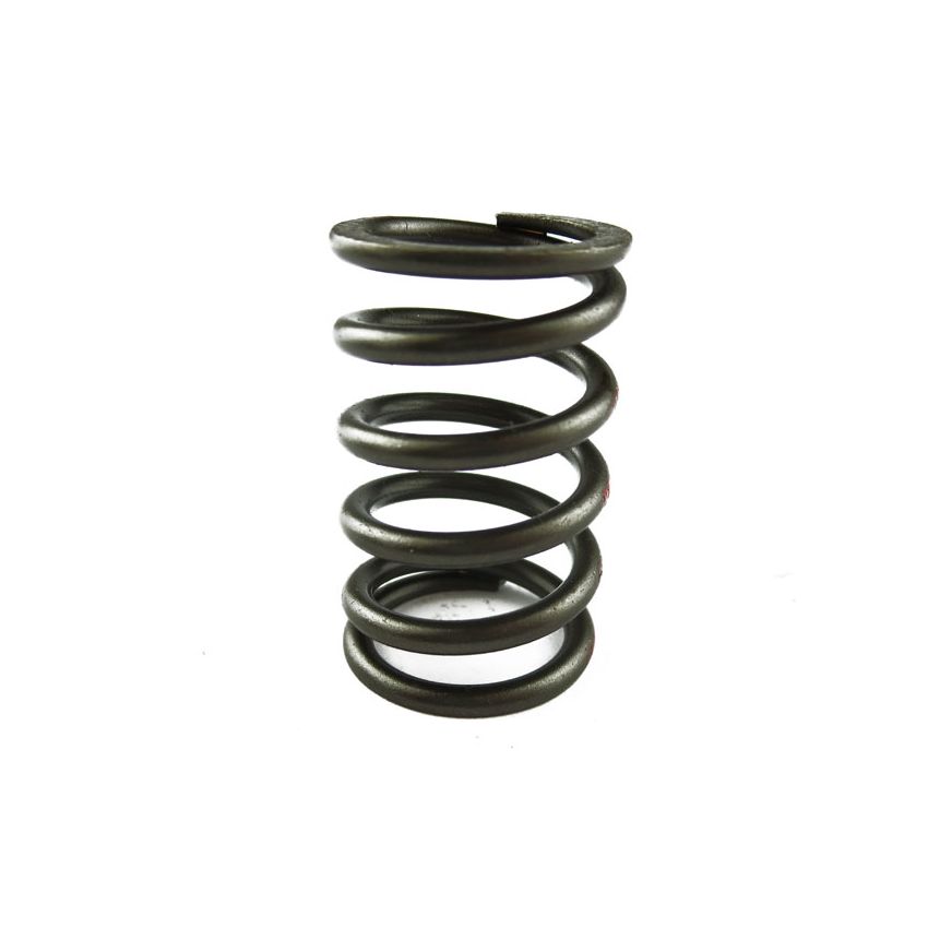 SPRING VALVE INNER:  T2500 PI, SPITFIRE