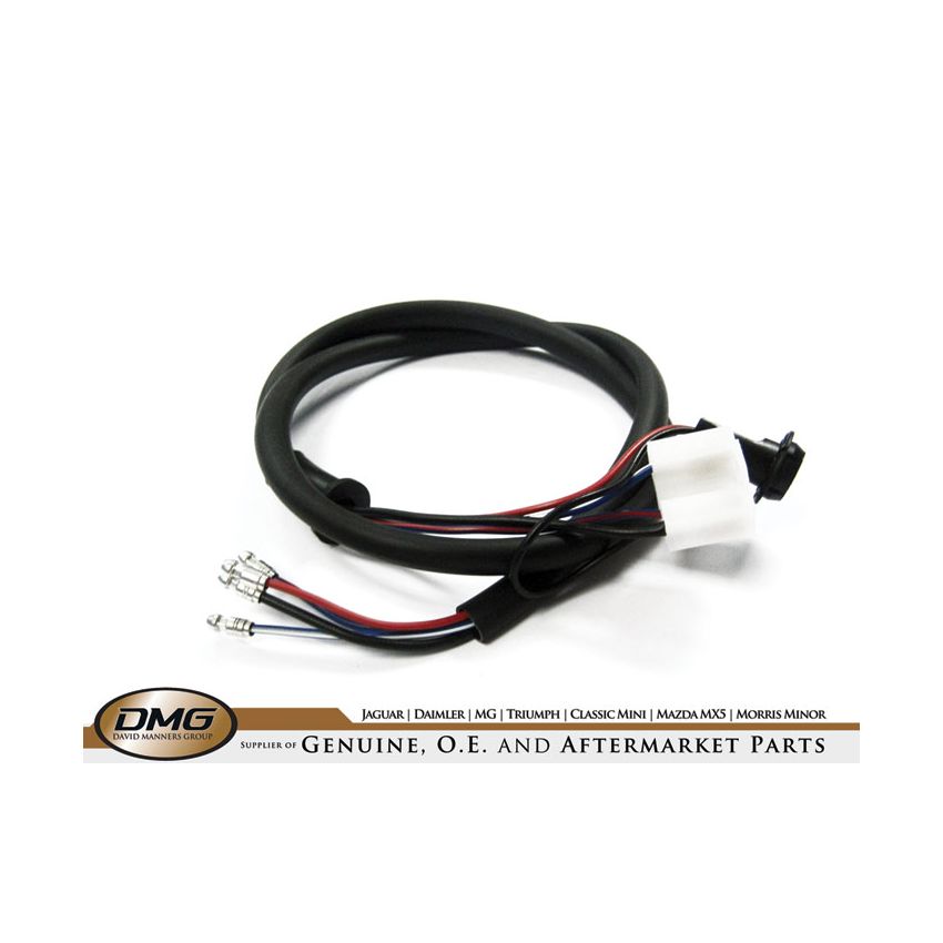 LOOM HEADLAMP + PILOT:  VARIOUS