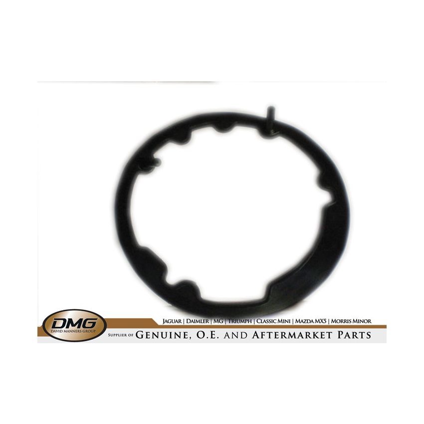 SEAL GASKET H/L BODY:  TR2, TR3, TR4, TR5, TR6