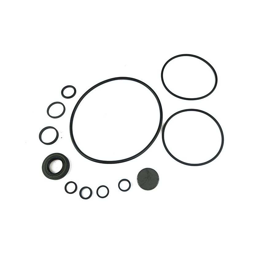 STEERING PUMP O/HAUL:  STAG