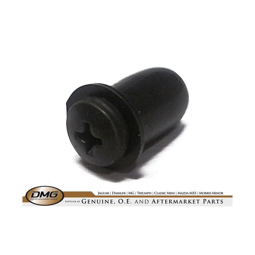 RAWL NUT & SCREW:  MGB, TR5, TR6