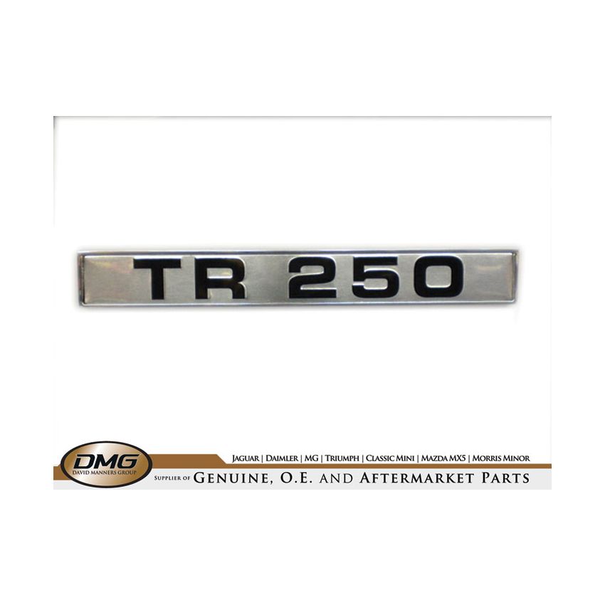 REAR WING BADGE:  TR250