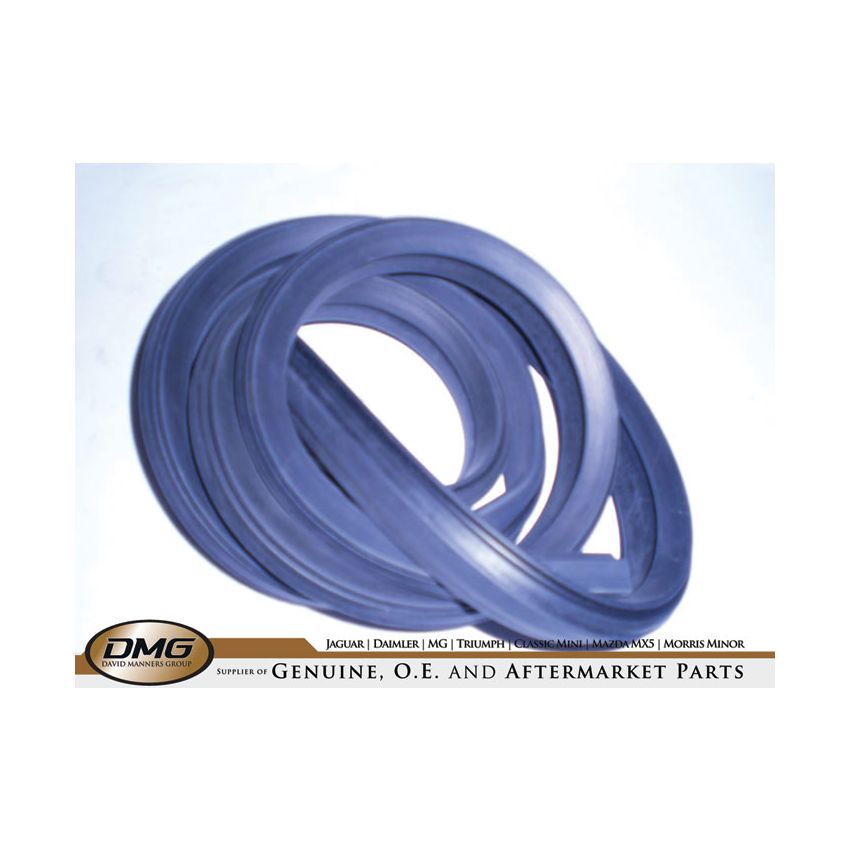 SEAL RUBBER HARD TOP RR:  TR6