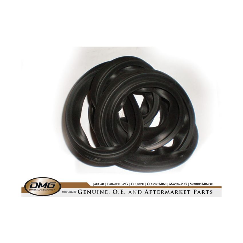 DOORSEAL:  TR4, TR4A