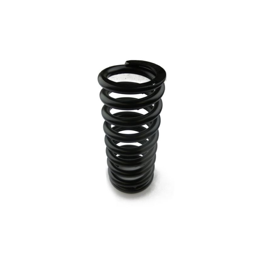 COIL SPRING:  MGB GT 65-74 & V8