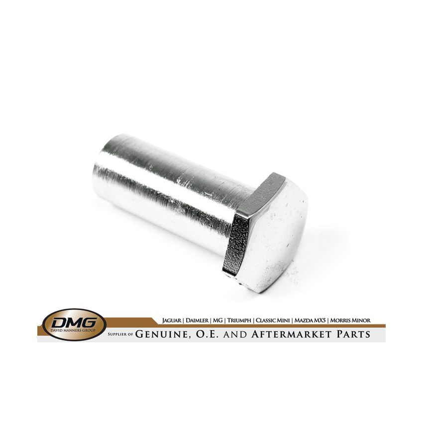 CHROME NUT:  S&M, MINI