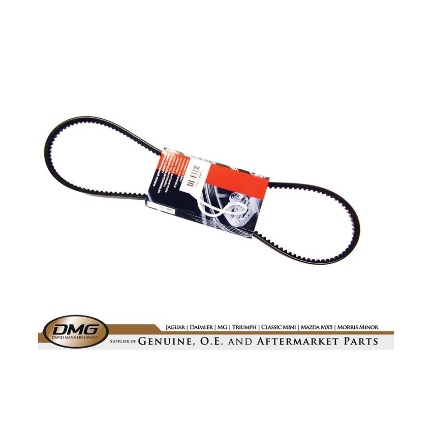 FAN BELT:  VITESSE 1600