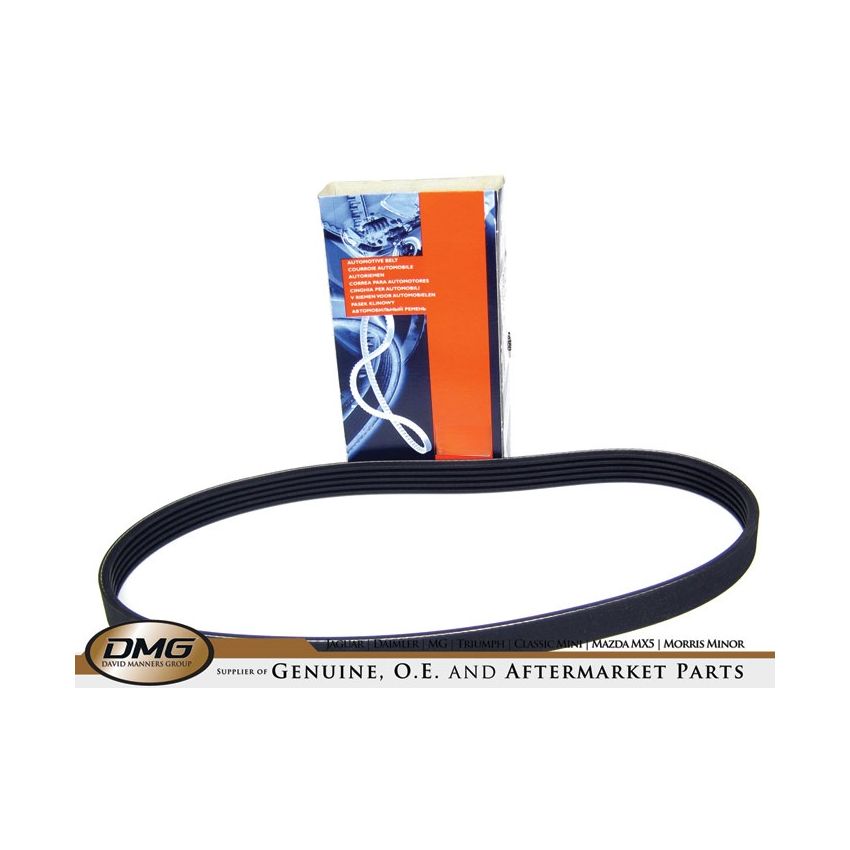 ALTERNATOR BELT NON A/C:  MGF MG TF