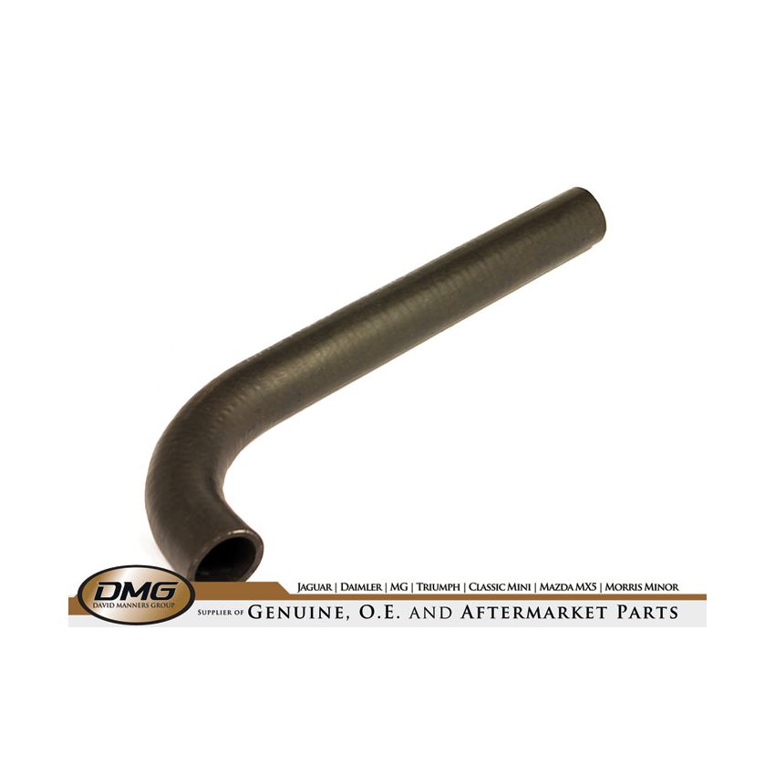 BOTTOM HOSE REPRO:  VITESSE