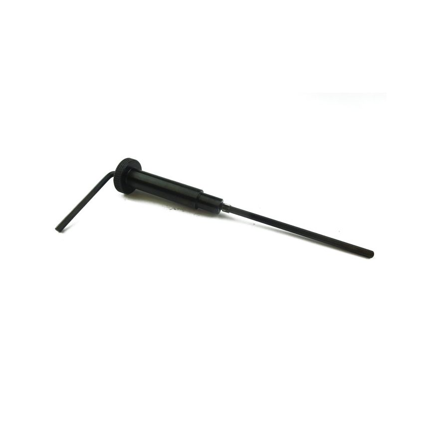 CARB TOOL STROMB:  VARIOUS, STAG