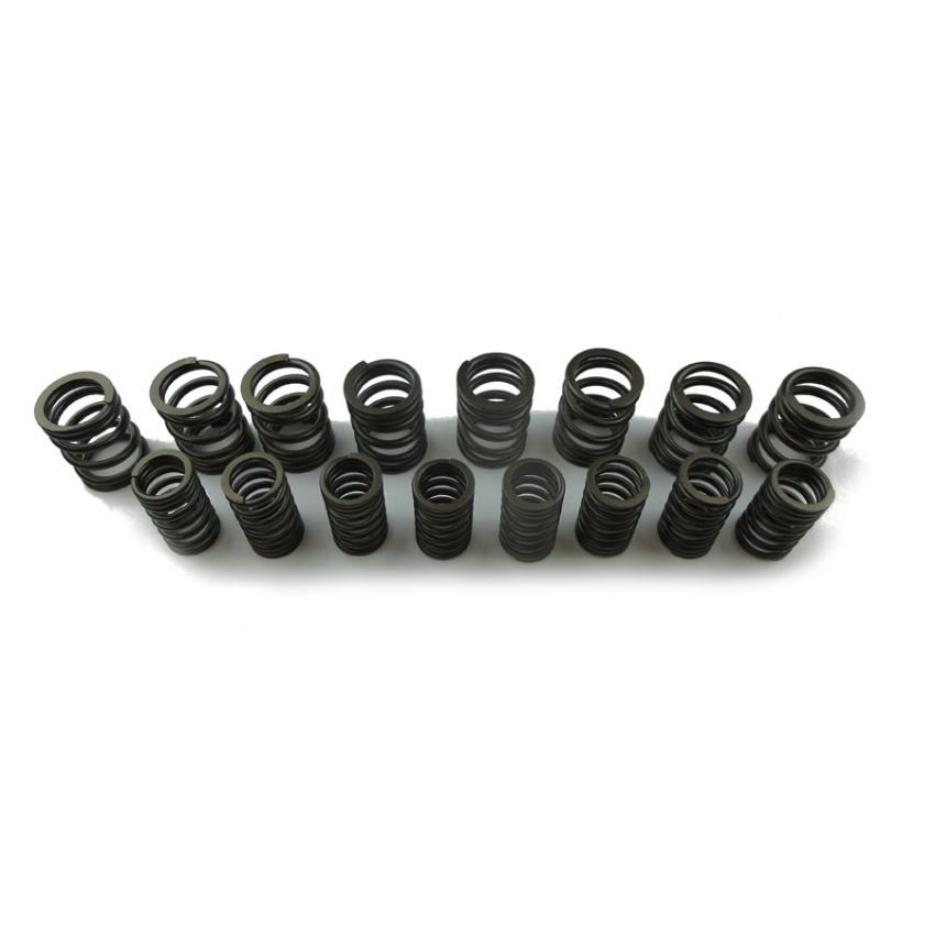 VALVE SPRING SET:  TR4 <CT21471, TR4A
