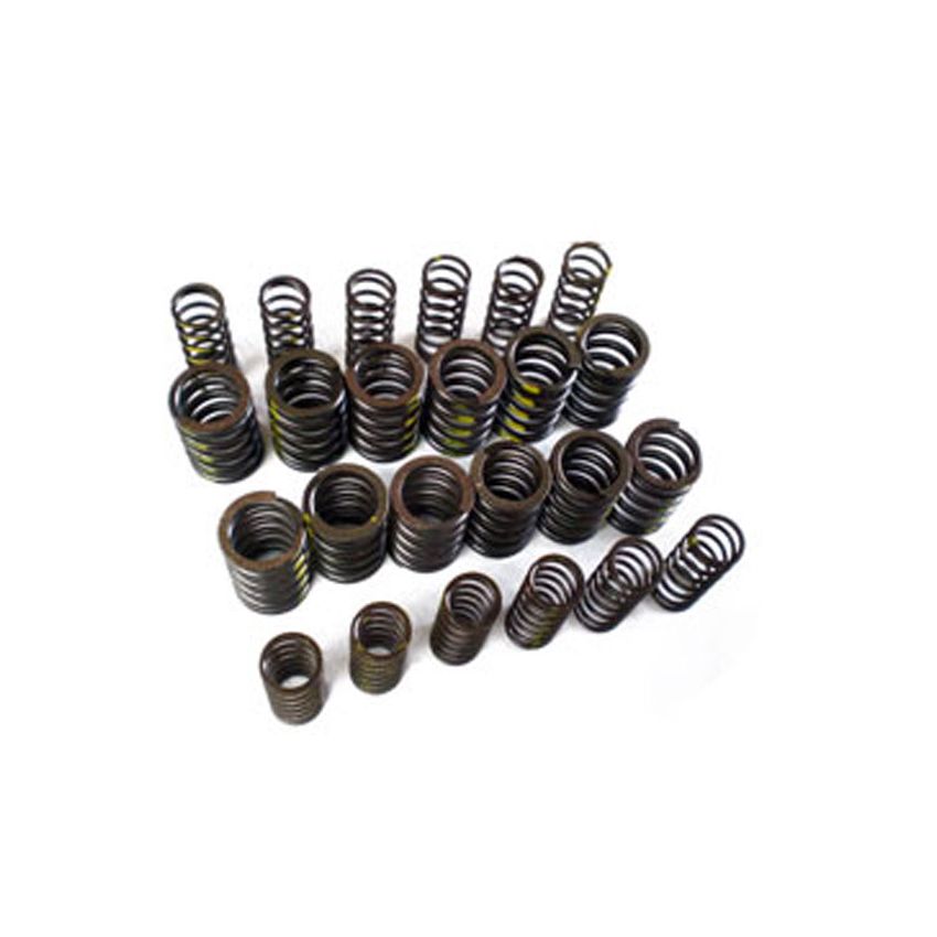 VALVE SPRINGS U/R (SET 12):  TR5, TR6