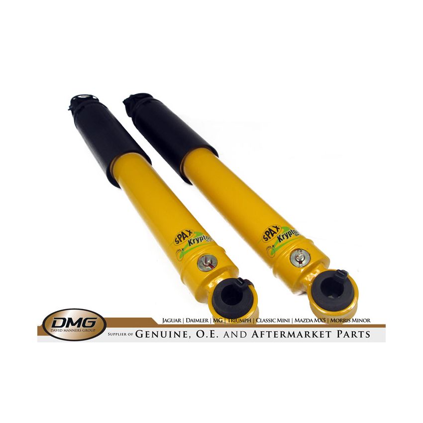 REAR TELESCOPIC SHOCK ABSORBER (SPAX):  TR2, TR3