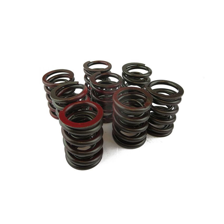 VALVE SPRING SET:  MIDGET 1500