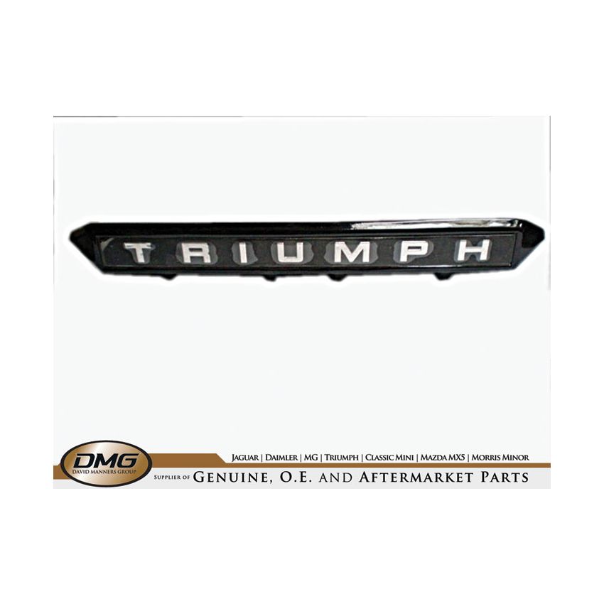 REAR NUMBER PLATE PLINTH:  TR6 75-76