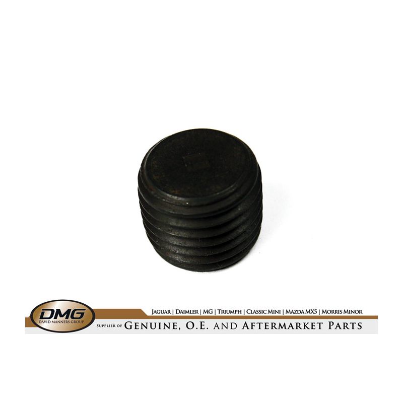 SCREW PLUG:  SPITFIRE