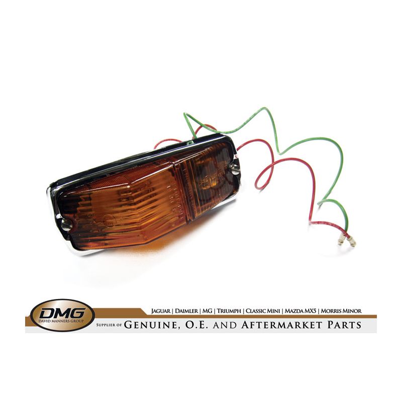 LAMP ASSEMBY ALL AMBER: