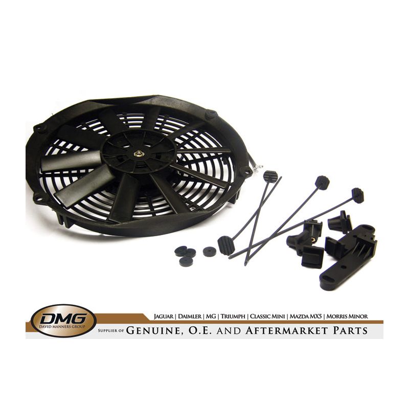 FAN 12":  VARIOUS