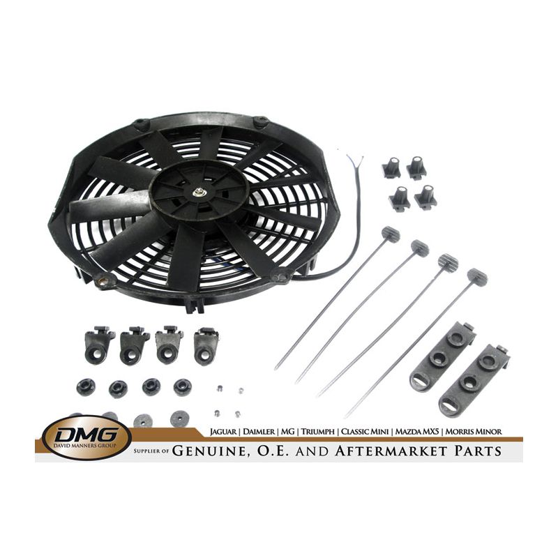 FAN 12":  VARIOUS