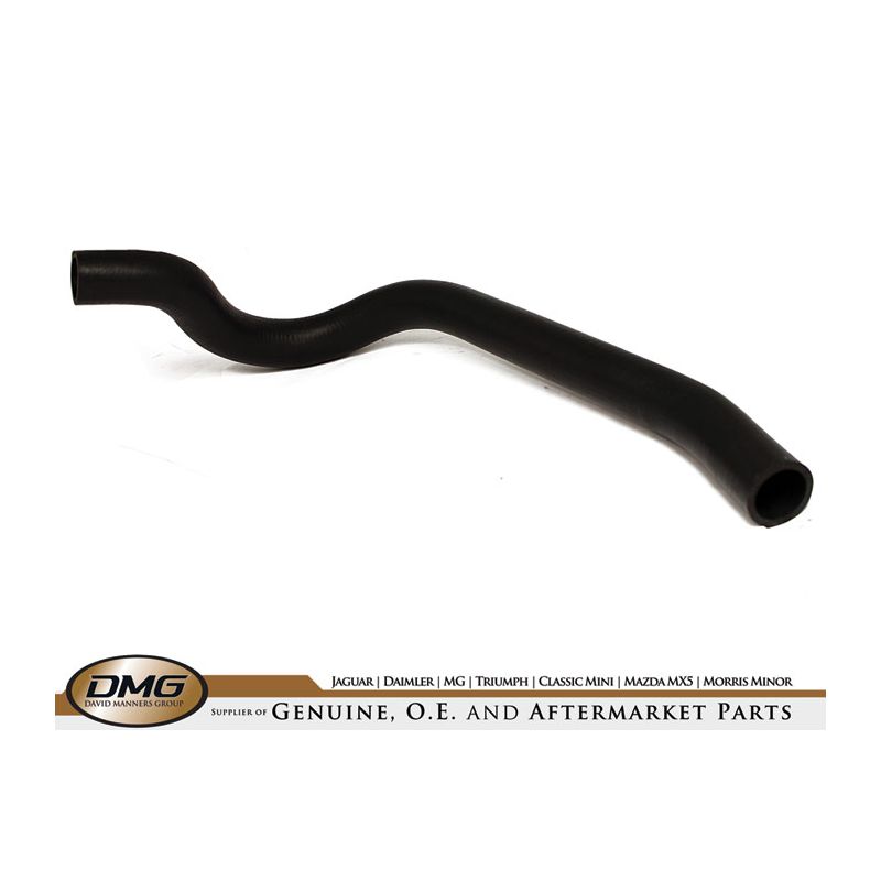 BOTTOM HOSE:  TR7