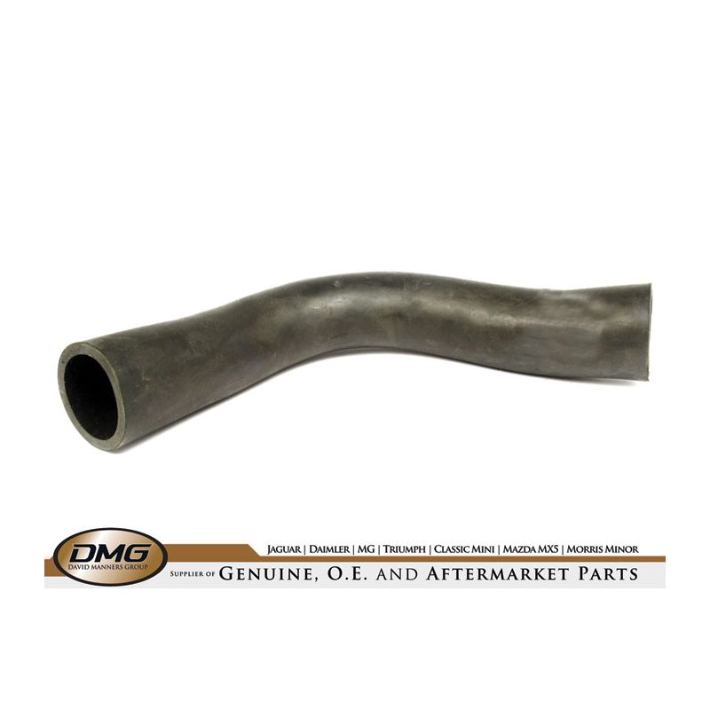 BOTTOM HOSE USA:  MIDGET