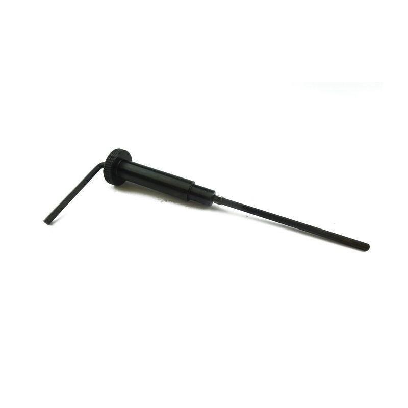 CARB TOOL STROMB:  VARIOUS, STAG
