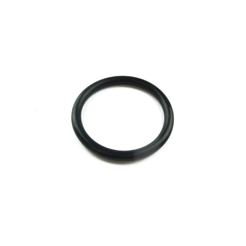 INLET MANIFOLD O-RING:  TR7, DOLOMITE